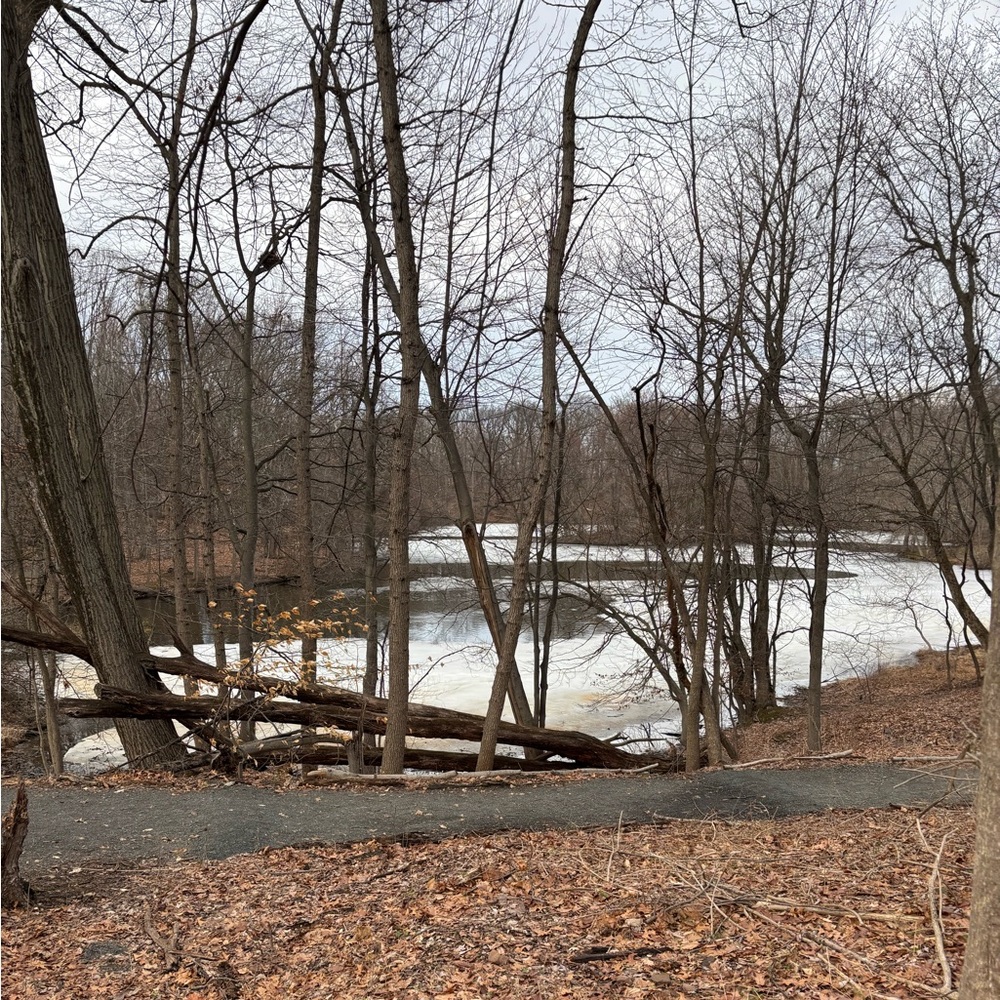 Meet your Posher, Joanna